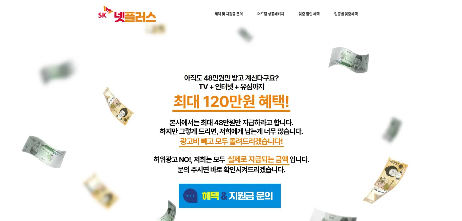 넷플러스(이음통신) 이미지
